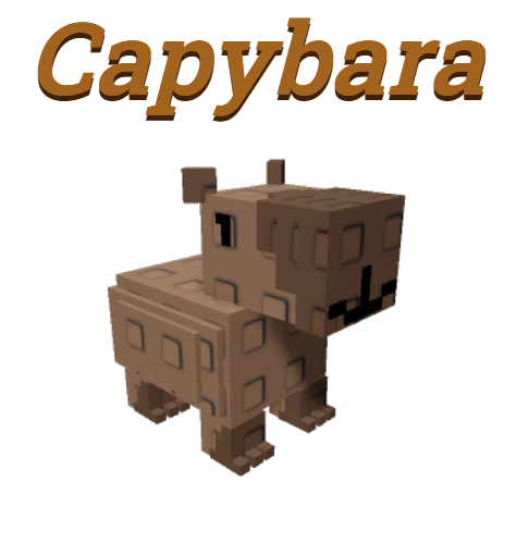 Capybara
