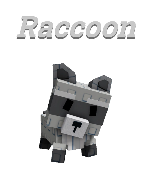 Raccoon